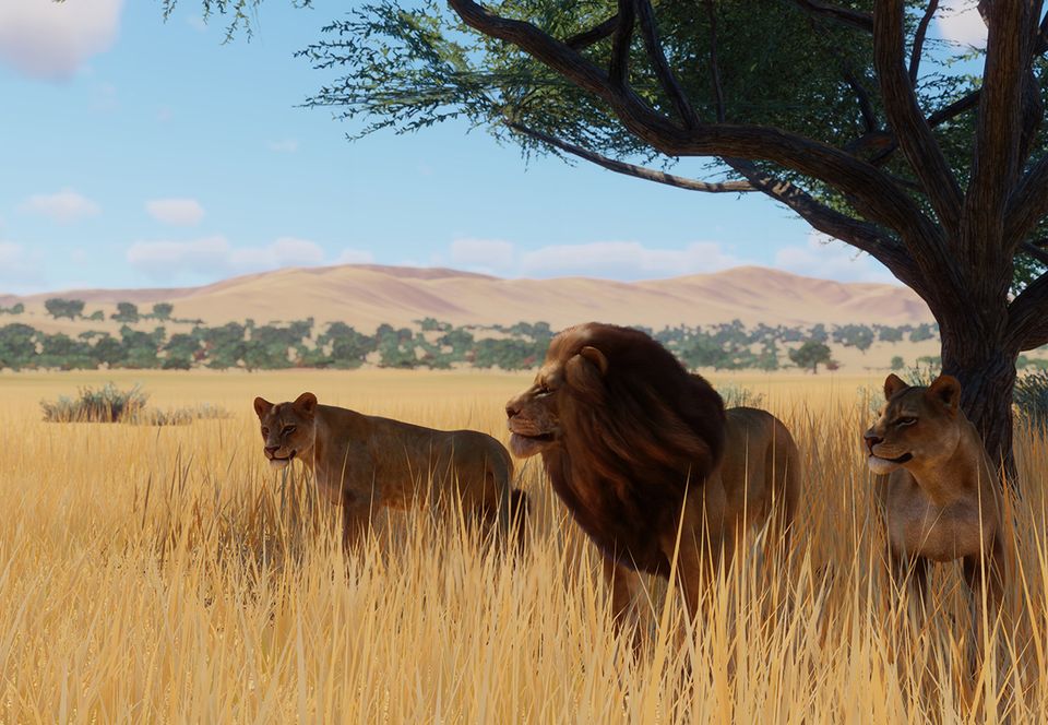 Лев планета. Planet Zoo Лев. Пума Planet Zoo. Сафари Planet Zoo львы. Planet Zoo West African Lion.