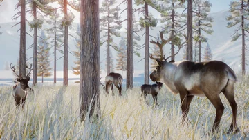 Die Planet Zoo: Arktispack-Erweiterung erscheint am 17. Dezember