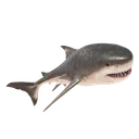 Megalodon