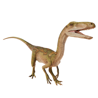 Segisaurus