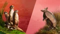 Planet Zoo: Grasslands & Africa Bundle Out Now!