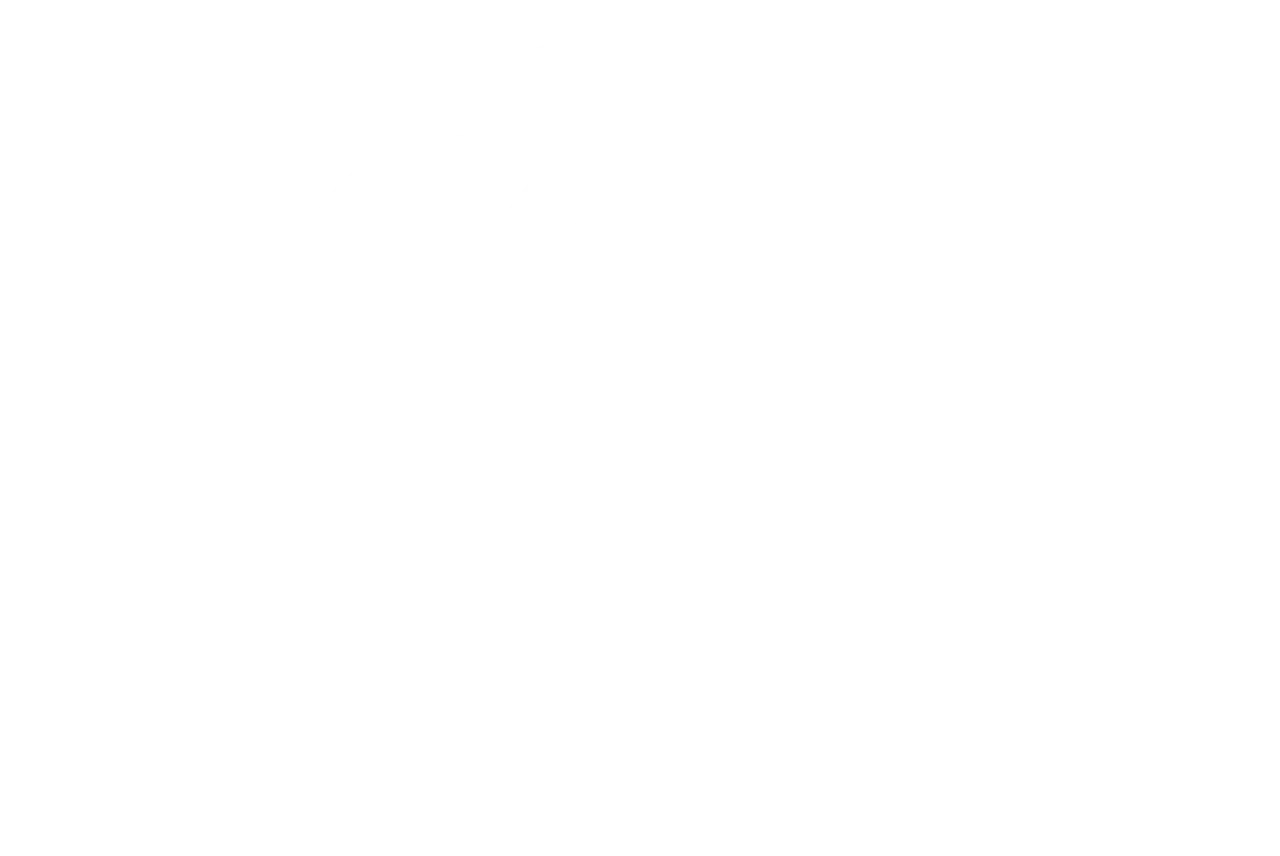 Planet Coaster 2