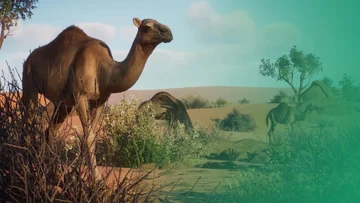 Planet Zoo Console - Arid & Tropical Bundle Trailer