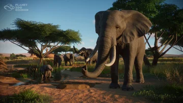 Einführung in Planet Zoo – Die Tiere