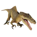 Spinoraptor