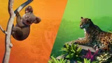 Planet Zoo: Australia & South America Bundle Out Now!