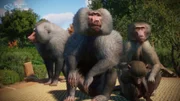 Planet Zoo: Console Edition - Zookeepers Pack - Screenshot 02