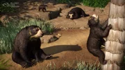 Planet Zoo: Console Edition - Zookeepers Pack - Screenshot 03