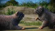 Planet Zoo: Console Edition - Zookeepers Pack - Screenshot 05