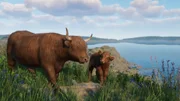 Planet Zoo: Console Edition - Barnyard Pack - Screenshot 06