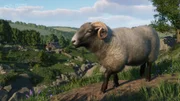 Planet Zoo: Console Edition - Barnyard Pack - Screenshot 07