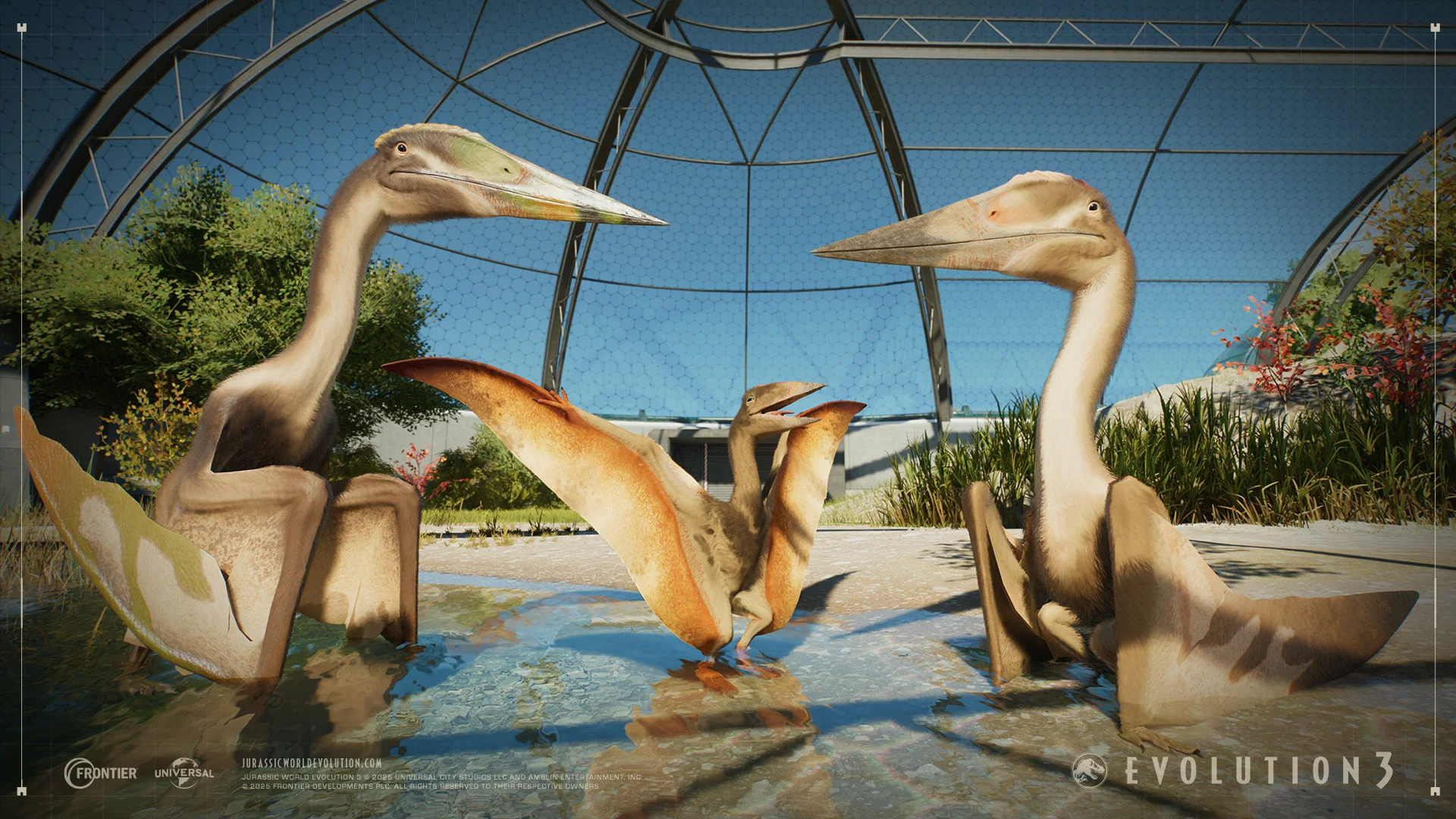 JWE3 Deluxe Edition Screenshot 05