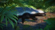Asia Animal Pack - Announce - Screenshot 01