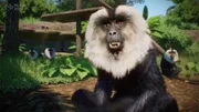 Asia Animal Pack - Announce - Screenshot 02