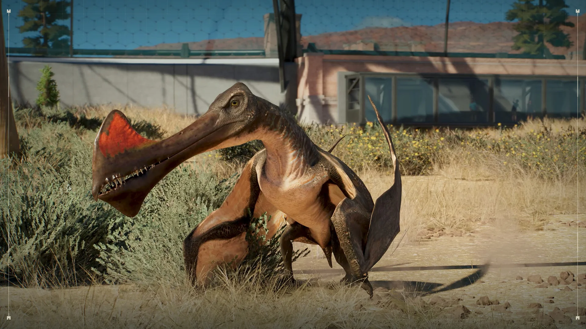 Présentation de dinosaure : Tropeognathus