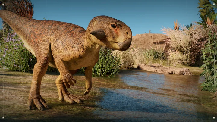 Dinosaur Showcase: Psittacosaurus