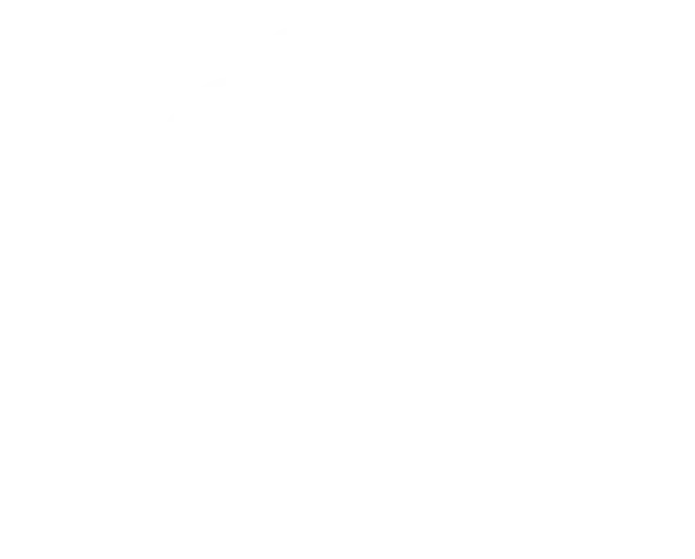 Planet Coaster 2: Parque de Atracciones Vintage