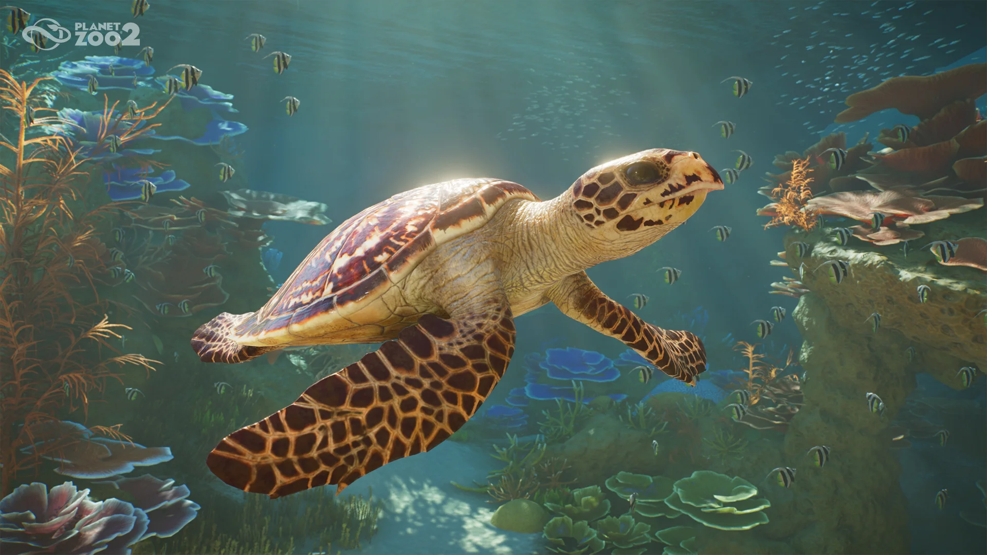Planet Zoo 2 - Announce Screenshot 05