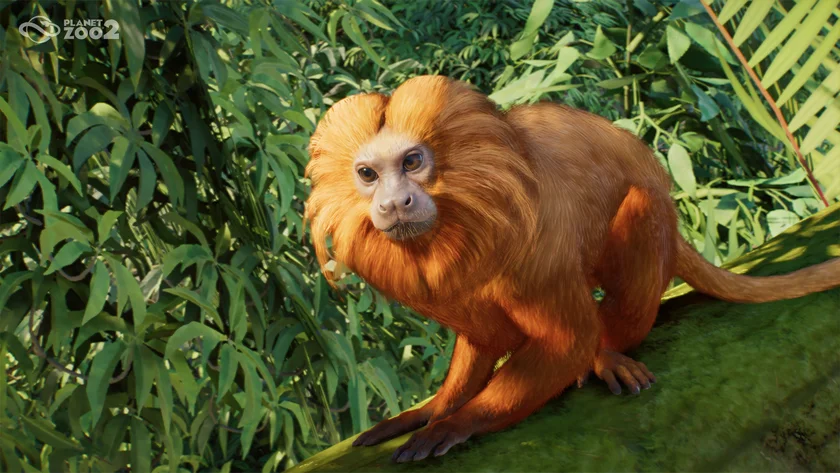 Planet Zoo 2 - Deluxe Edition Screenshot - 02