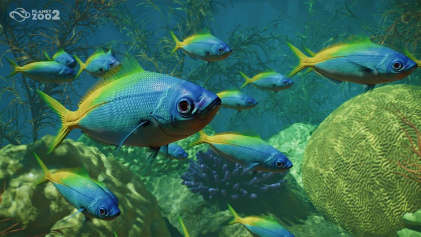 Planet Zoo 2 - Deluxe Edition Screenshot - 04