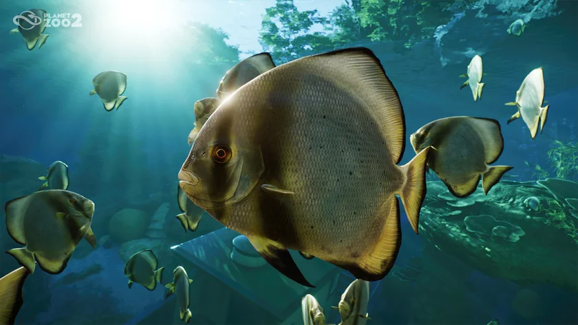 Planet Zoo 2 - Deluxe Edition Screenshot - 05
