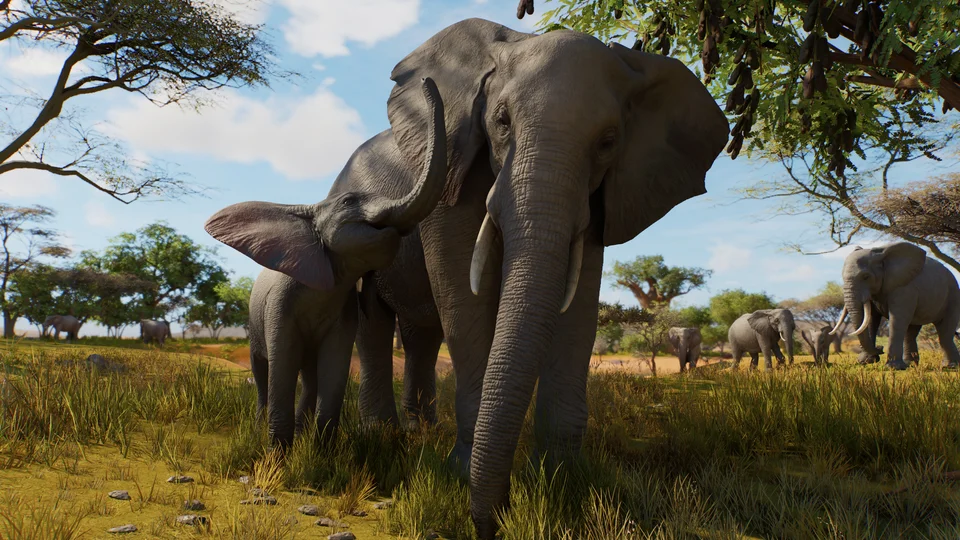 Planet Zoo 2 - Nature in Detail