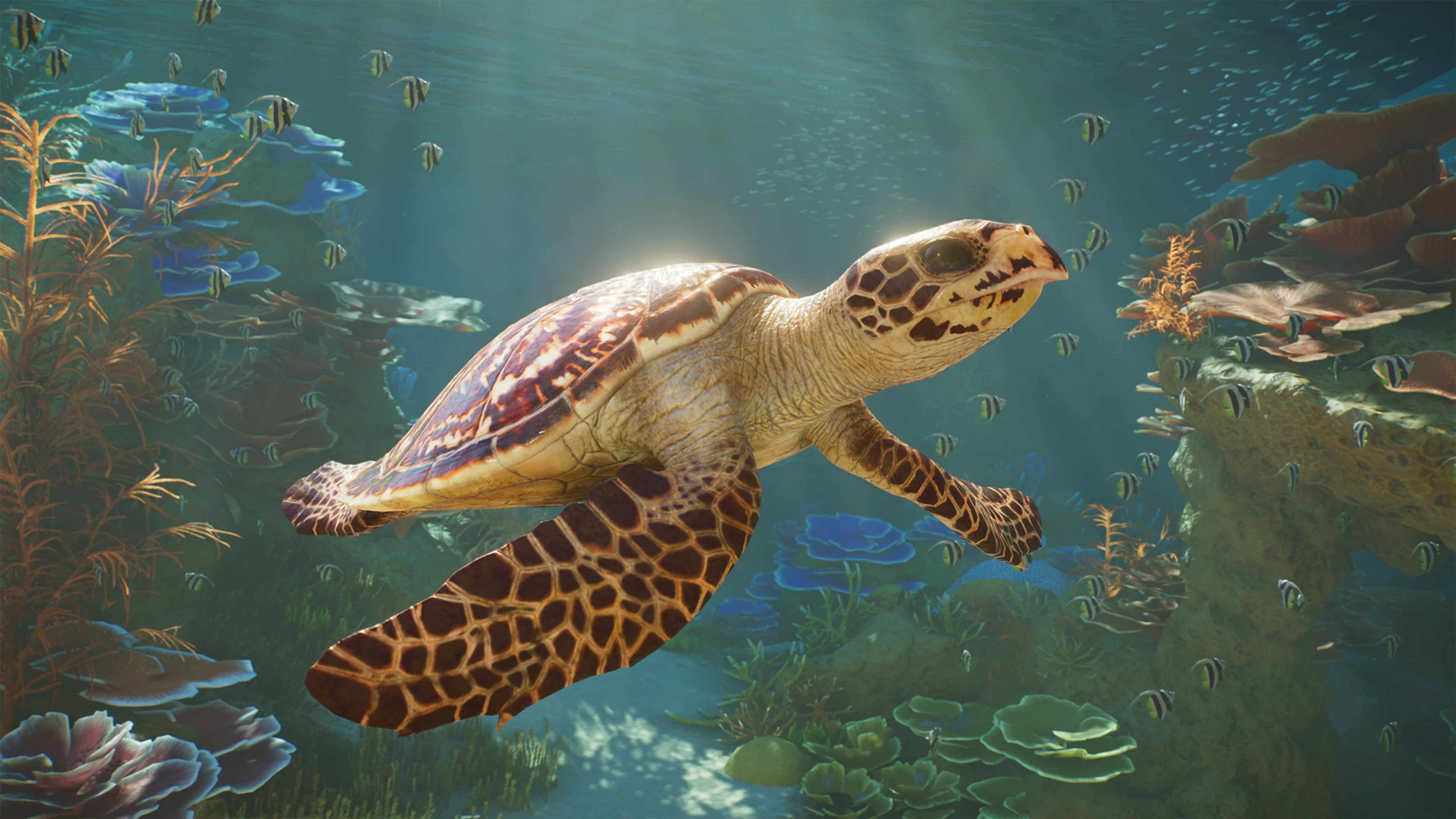 Planet Zoo 2 - Awesome Aquatics