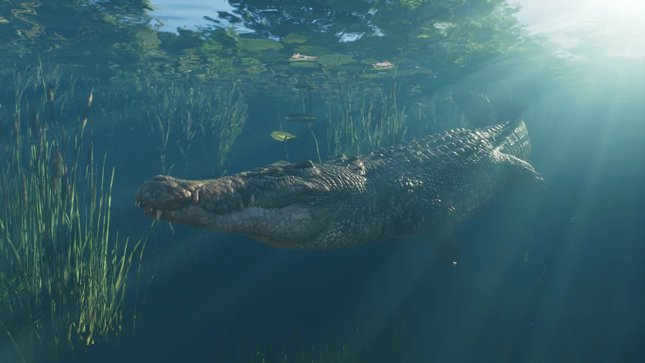 pz2-game-modes-franchise_1920x1080_219vn34vbgg5.jpg