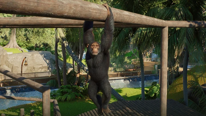 Planet Zoo 2 - Official Zoo Tour Gameplay