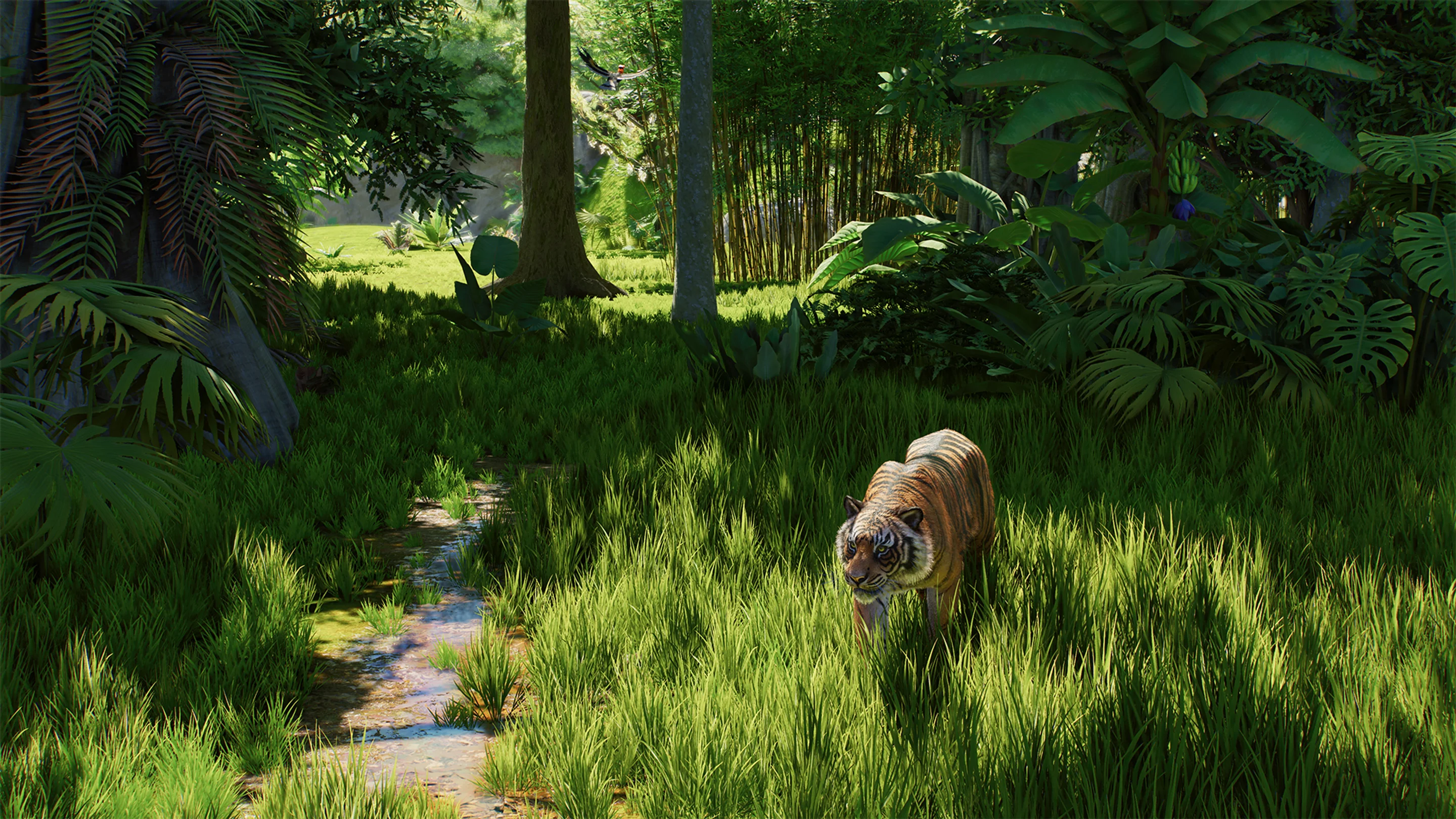 The Journey to Planet Zoo 2