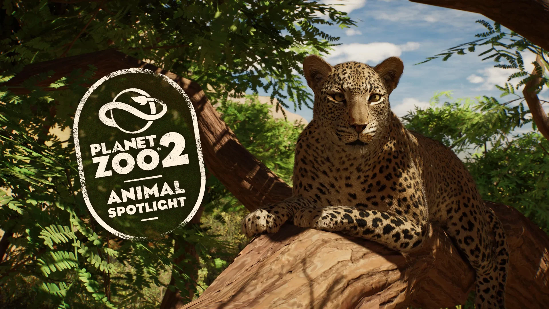 African Leopard - Zoopedia - Planet Zoo 2