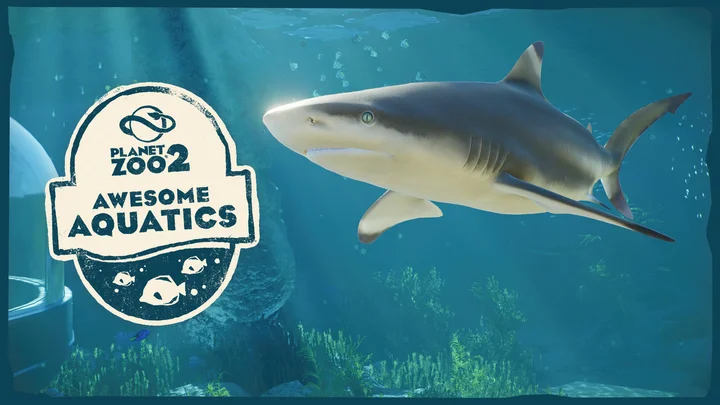 Feature Focus - Awesome Aquatics
