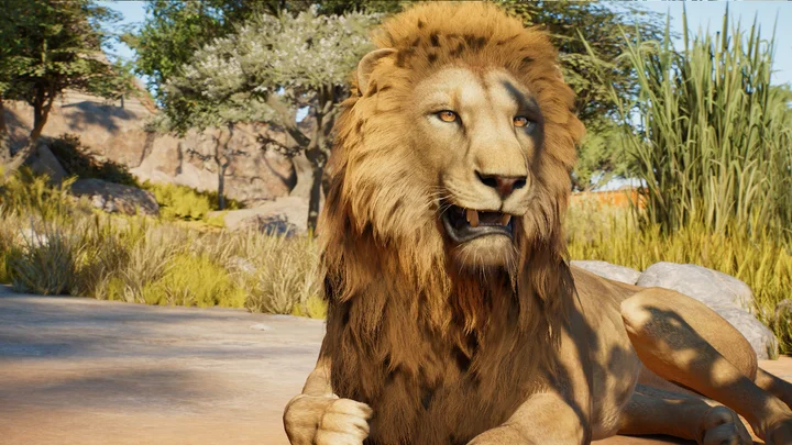 Feature Focus - Awe-inspiring Animals