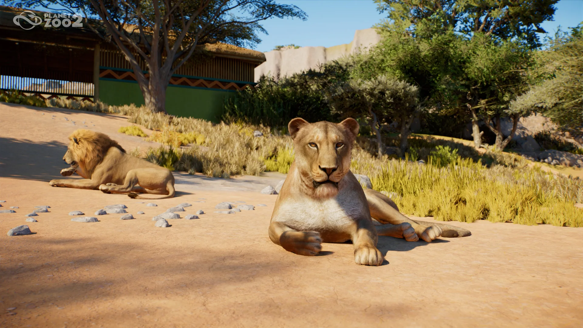 Planet Zoo 2 - Feature Focus - Awe-inspiring Animals 02 - Lion