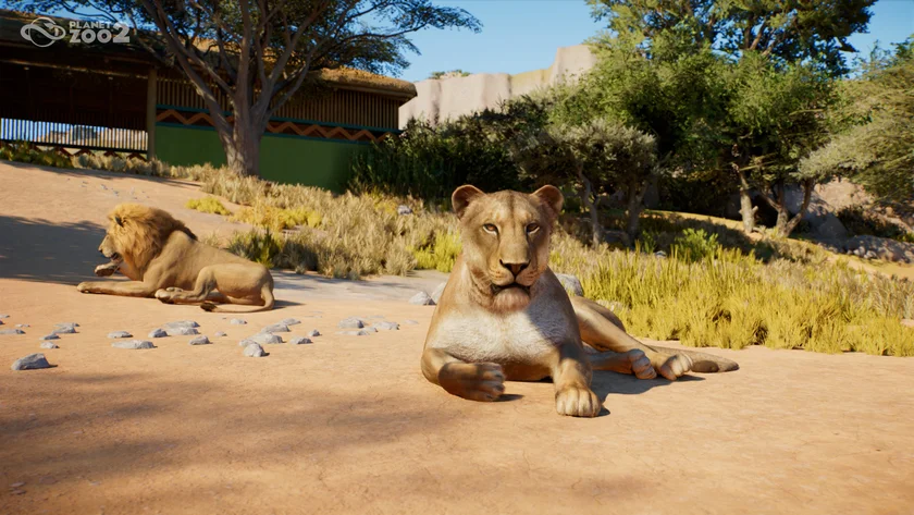 Planet Zoo 2 - Feature Focus - Awe-inspiring Animals 02 - Lion