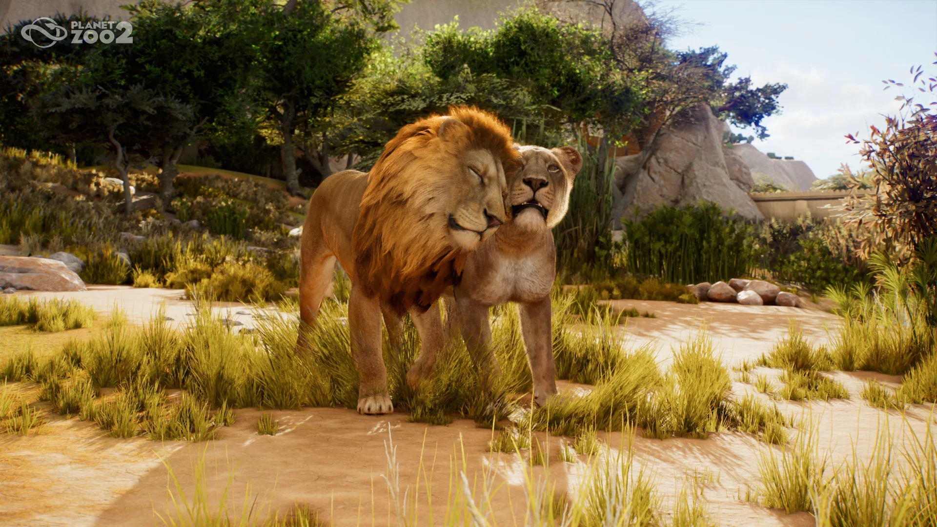 Planet Zoo 2 - Feature Focus - Awe-inspiring Animals 01 - Lion