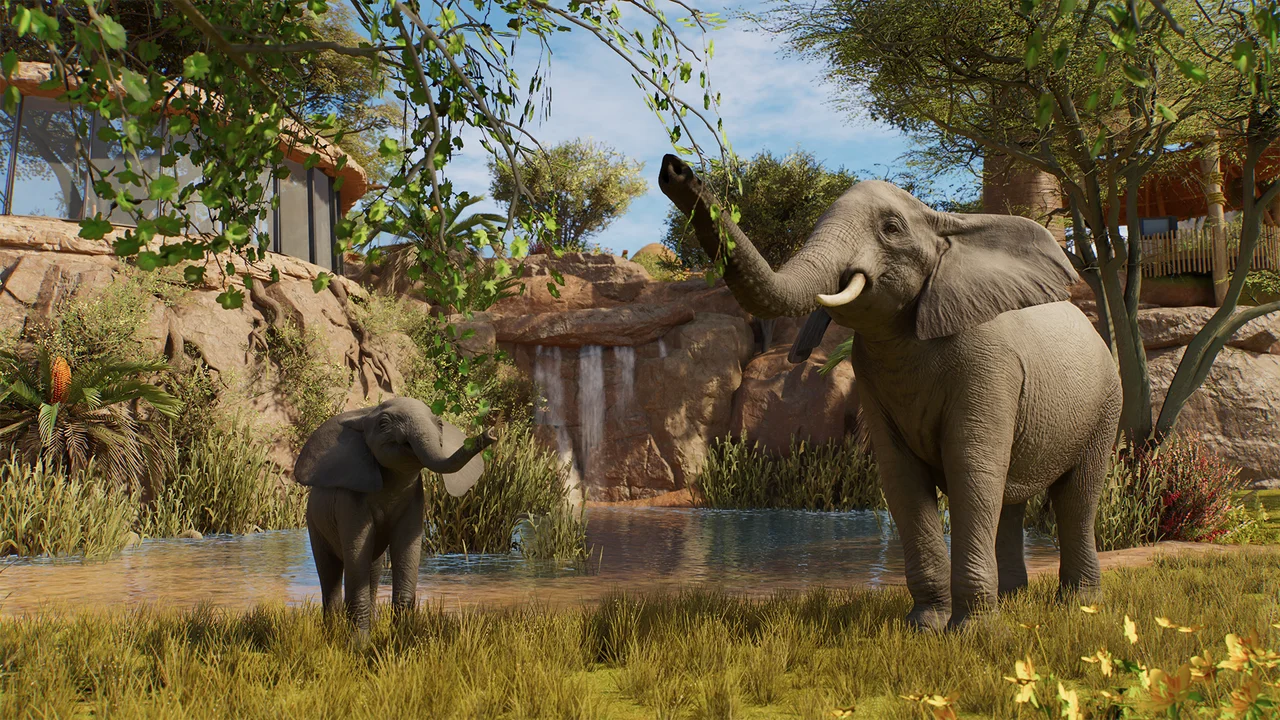 Creature Feature: The Animal Brain