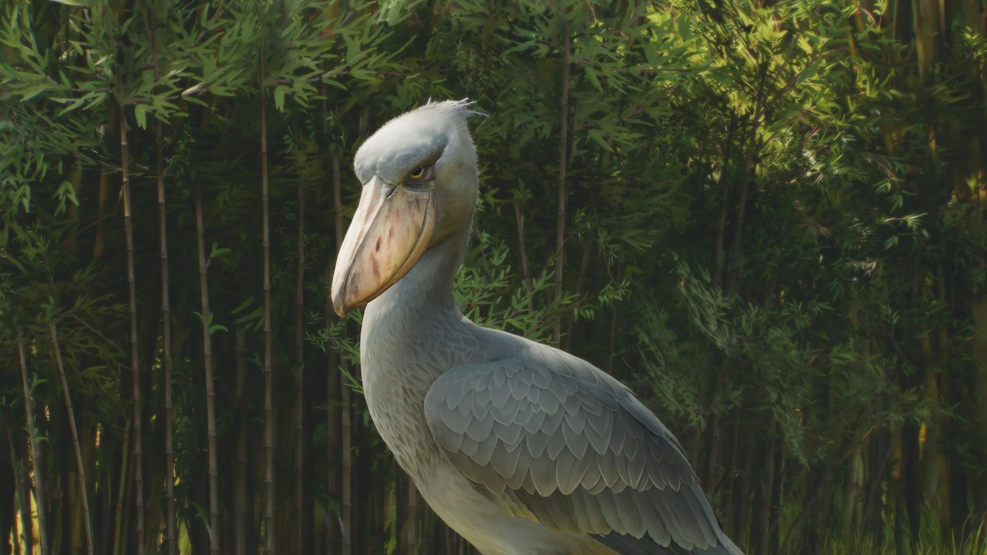 Creature Feature: Aviaries