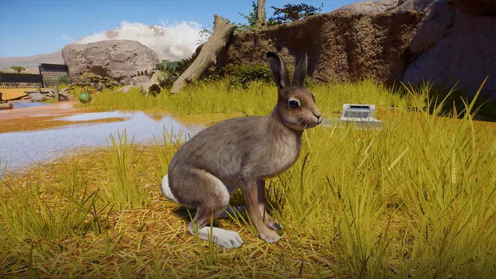 Exibição de Jogabilidade Sandbox