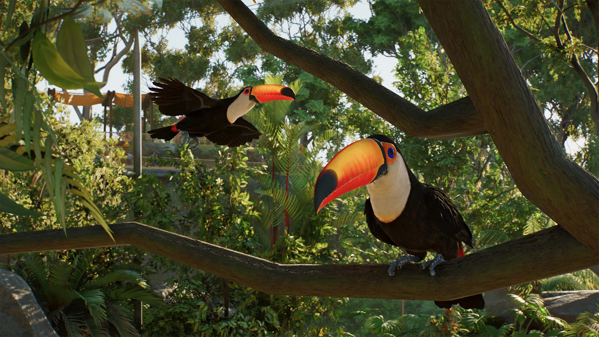 Behind the Scenes: Flying Birds