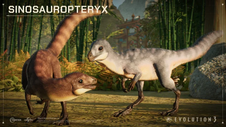 Prehistoric East - Sinosauropteryx - Screenshot 02