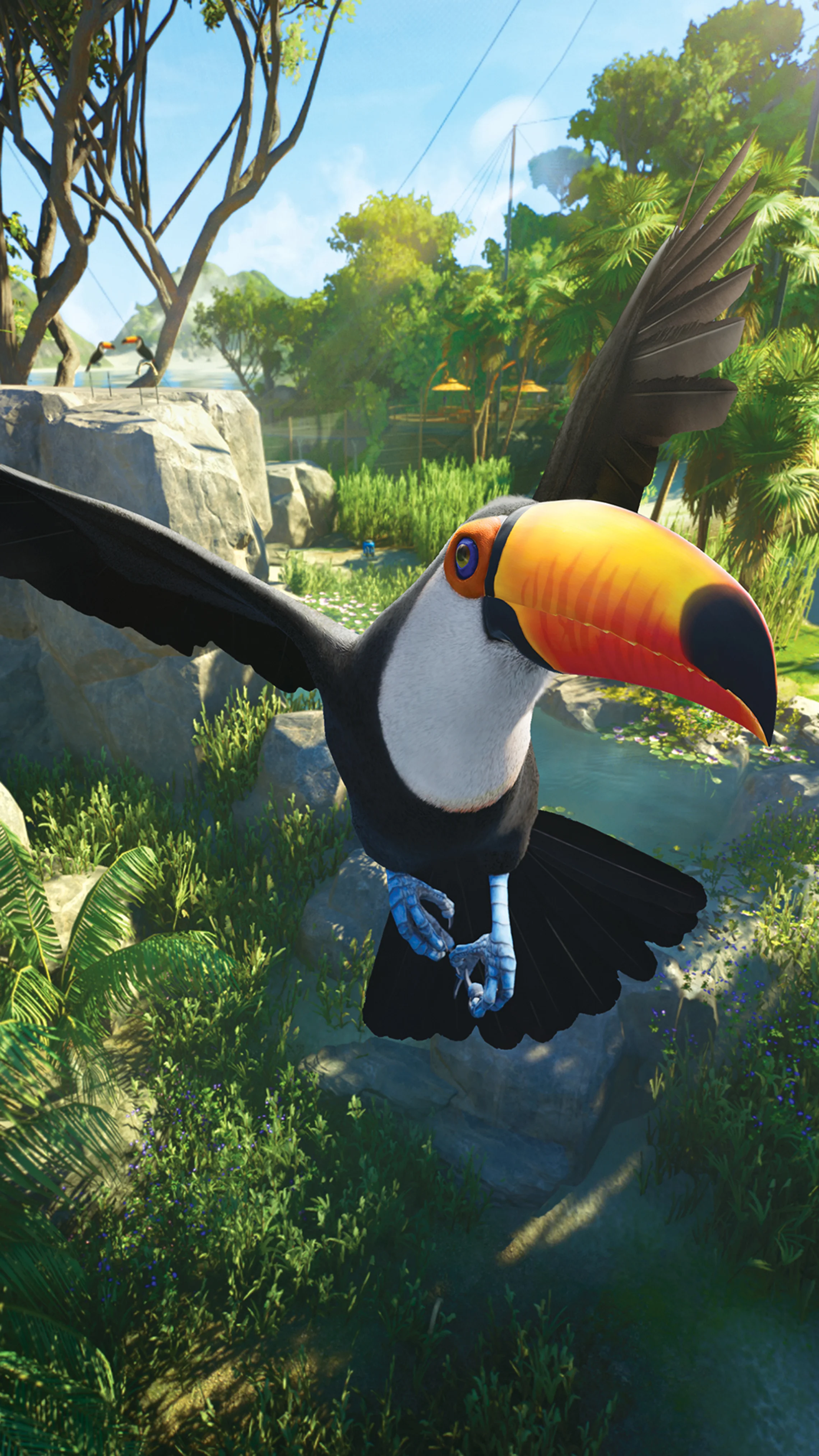 Toco Toucan Wallpaper (Mobile)