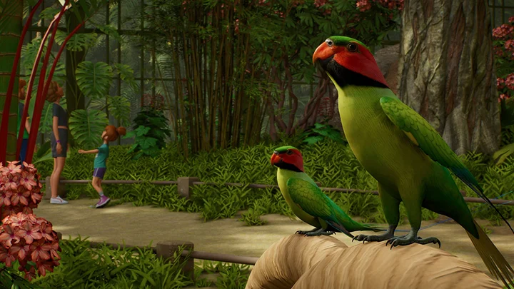 Animal Spotlight - Long-tailed Parakeet