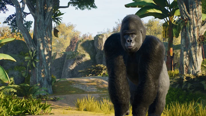 Zoom sur une fonctionnalité – Zoo et créativité