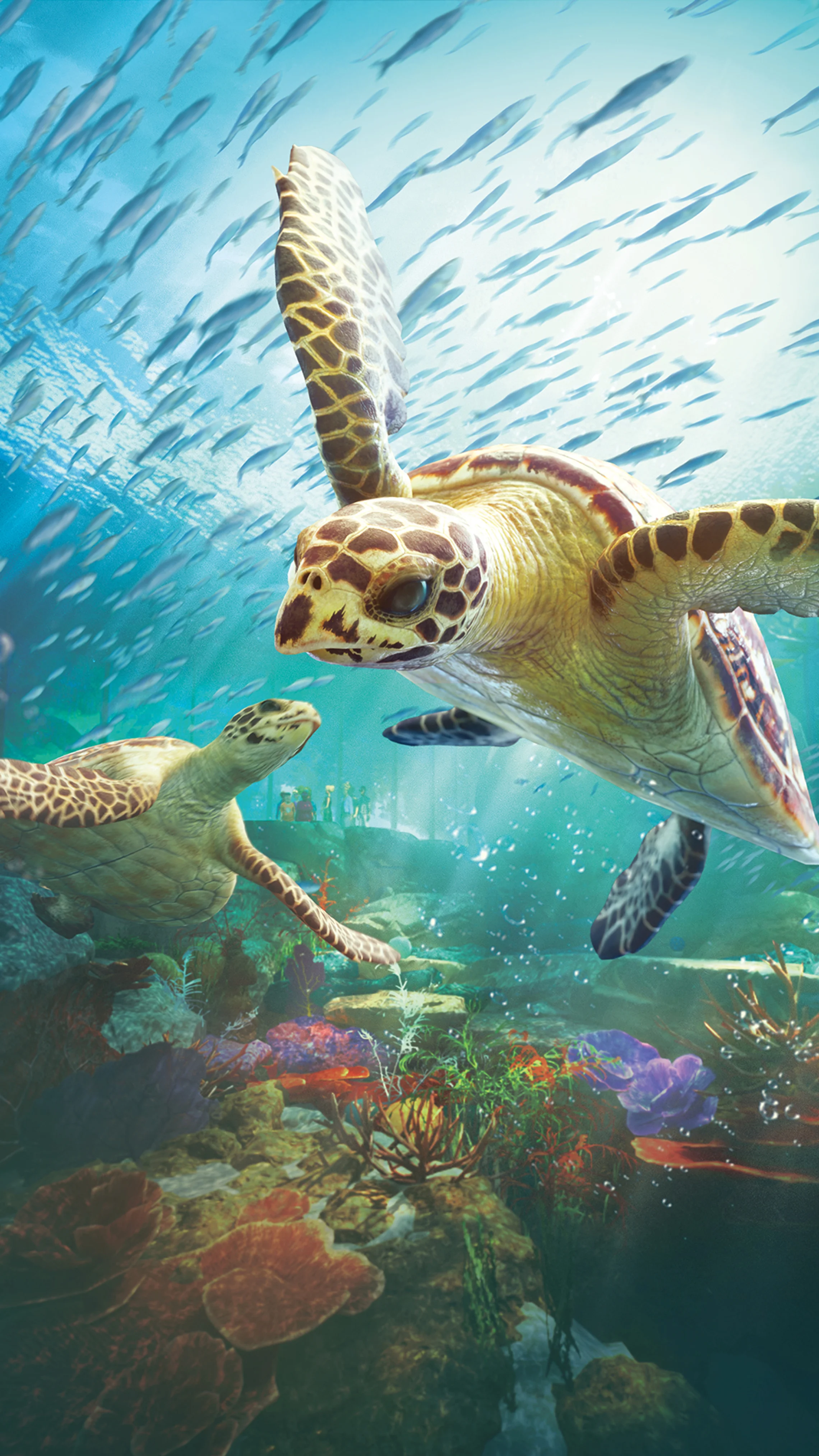 Hawksbill Turtle Wallpaper (Mobile)
