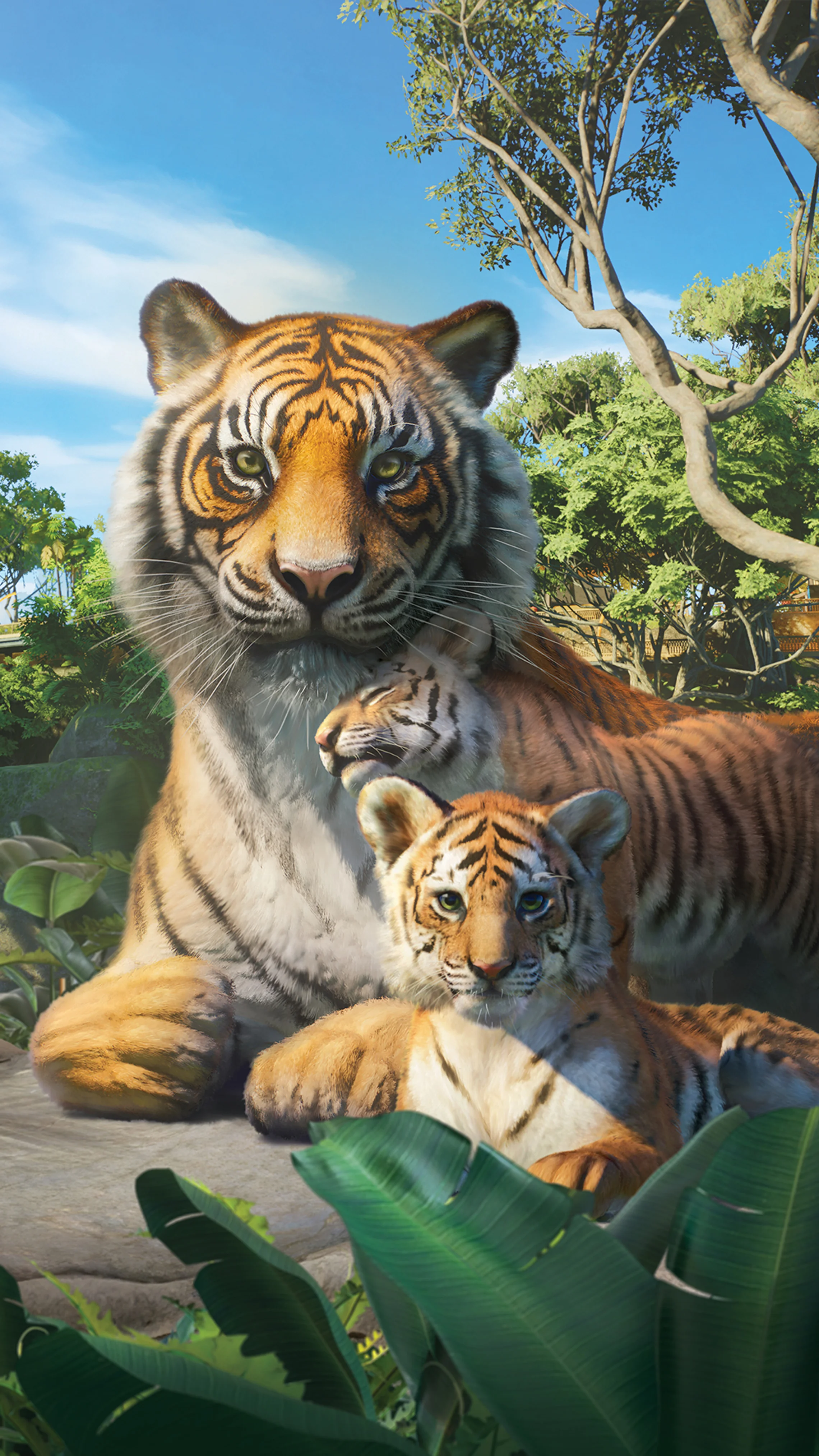 Sumatran Tiger Wallpaper (Mobile)