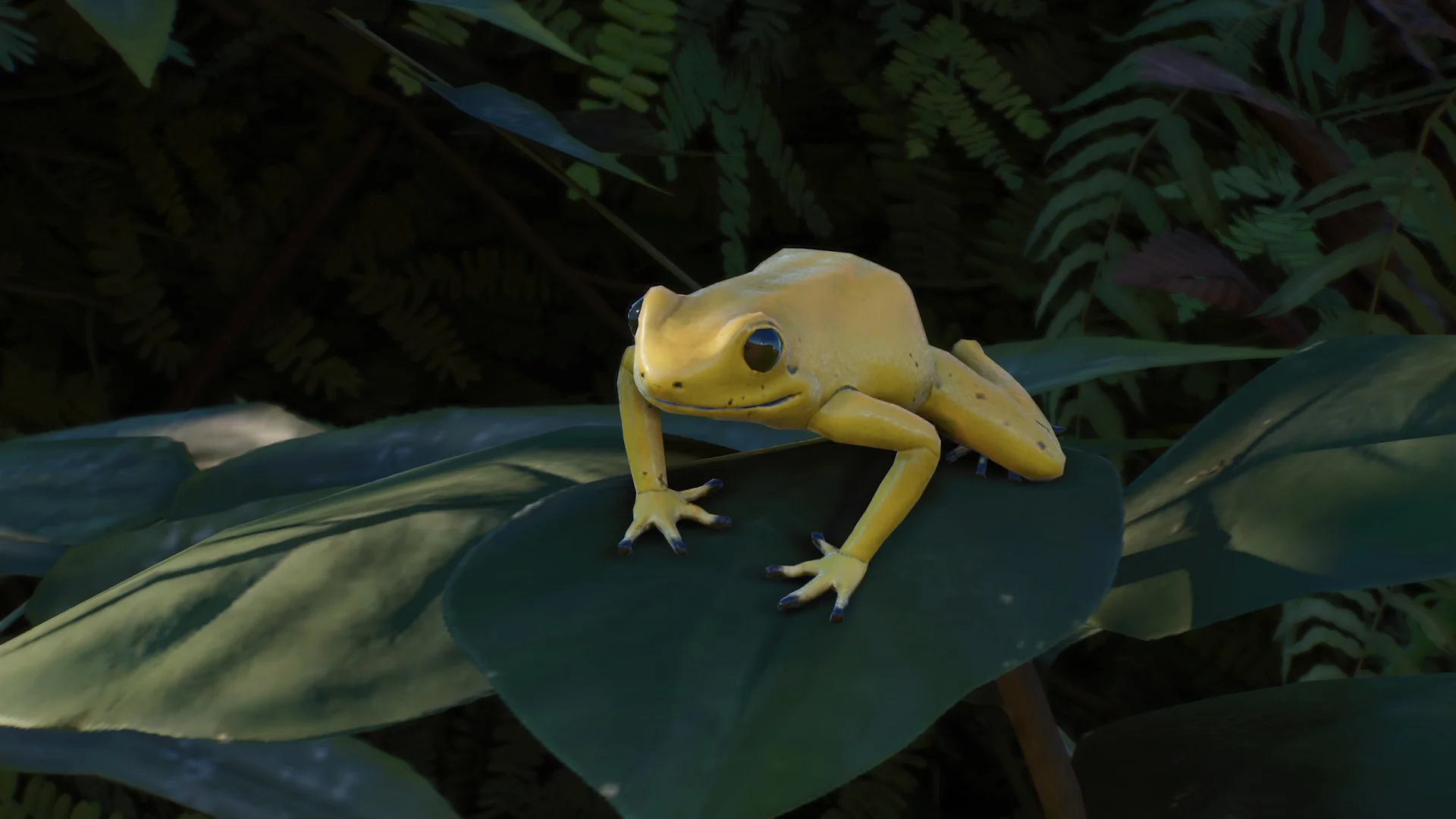 Keeper Talks - Golden Poison Frog