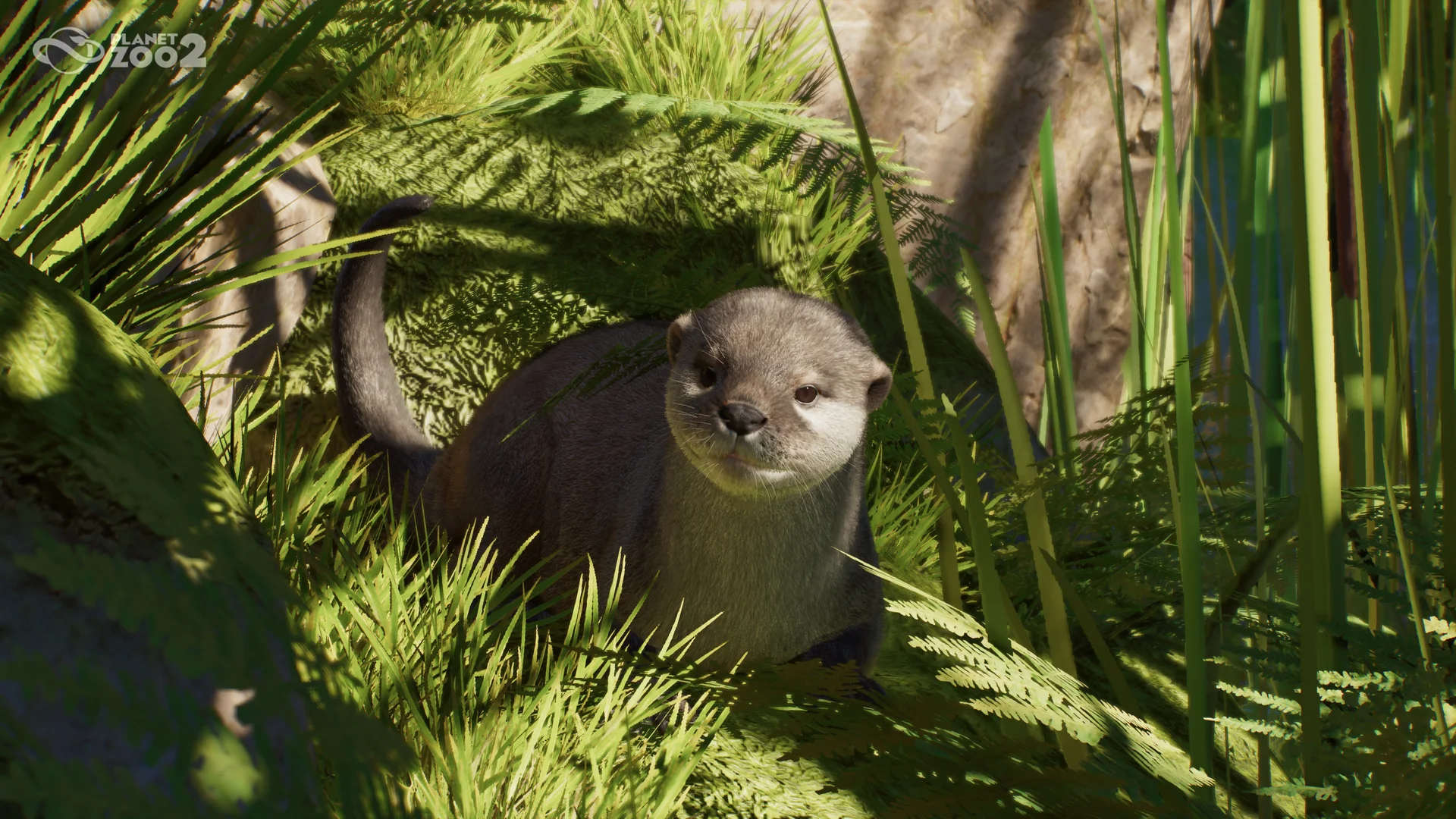 Planet Zoo 2 | Spielerfeedback und geplante Wartungsarbeiten