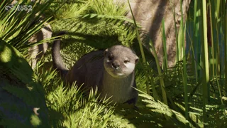 Planet Zoo 2 - Player Feedback and Planned Maintenance