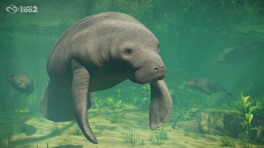 Planet Zoo 2 - Launch screenshot - 06